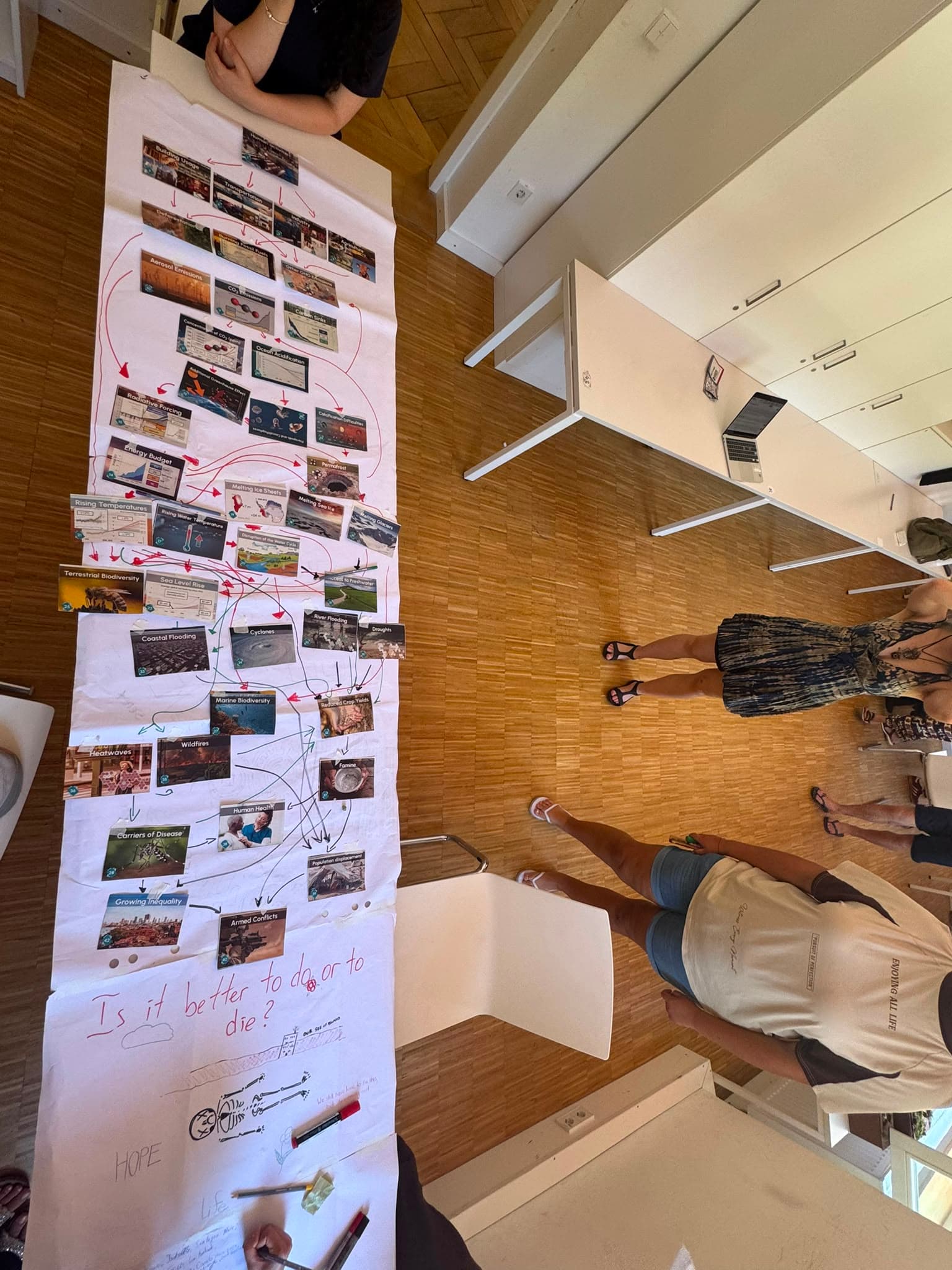 Building a Sustainable Future: Three Weeks of Learning Beyond Borders - Image 15